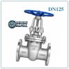 Van cổng inox DN125