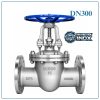 Van Cổng Inox DN300