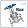 Van cổng inox DN65