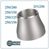 Côn thu Inox DN250