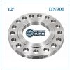 Mặt Bích Inox BS 4504 DN300