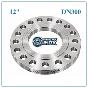 Mặt Bích Inox BS 4504 DN300
