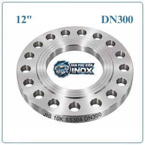 Mặt Bích Inox JIS10K DN300