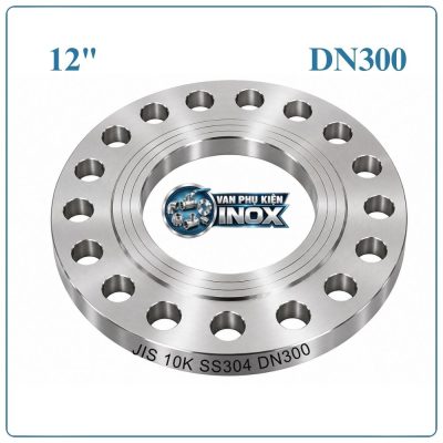 Mặt Bích Inox JIS10K DN300