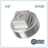 Nút bịt inox DN20