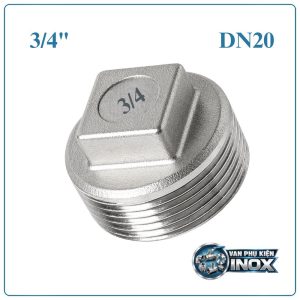 Nút bịt inox DN20