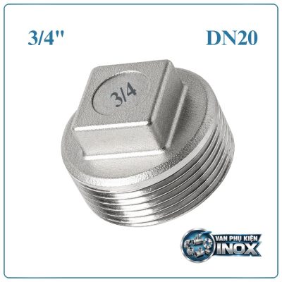 Nút bịt inox DN20