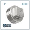 Nút bịt inox DN25