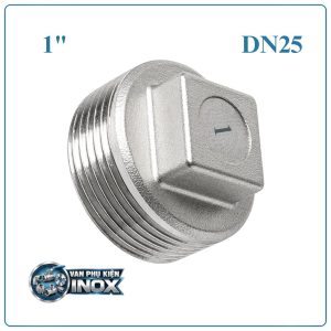 Nút bịt inox DN25