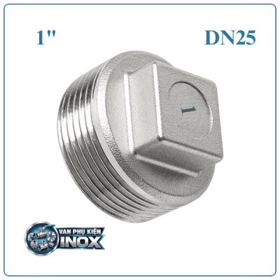 Nút bịt inox DN25