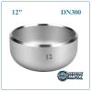 Nút bịt inox DN300