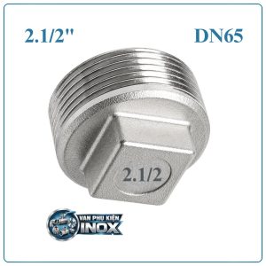 Alternative view of Nút bịt inox DN65