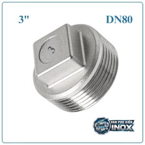 Nút bịt inox DN80