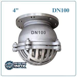 Rọ bơm inox DN100