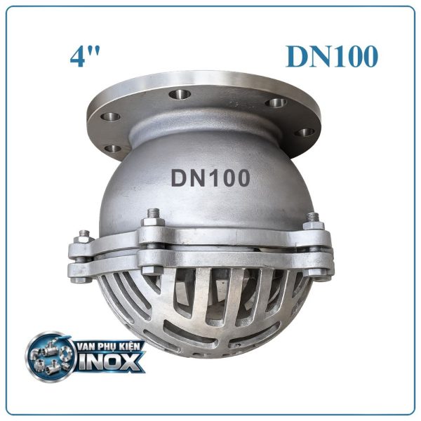 Rọ bơm inox DN100