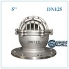 Rọ bơm inox DN125