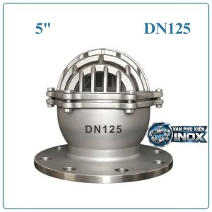 Rọ bơm inox DN125