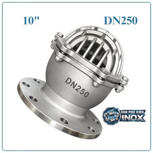 Rọ bơm inox DN250
