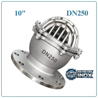 Rọ bơm inox DN250