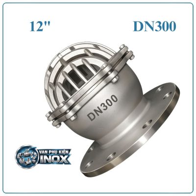 Rọ bơm inox DN300