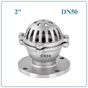 Rọ bơm inox DN50