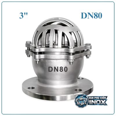 Rọ bơm inox DN80