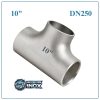 Tê Inox DN250