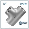 Tê Inox DN300