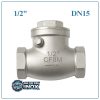 Van 1 Chiều Lá Lật Inox DN15