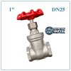 Van Cổng Inox DN25