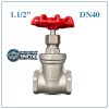 Van Cổng Inox DN40