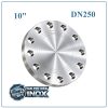 Mặt Bích Inox Đặc DN250