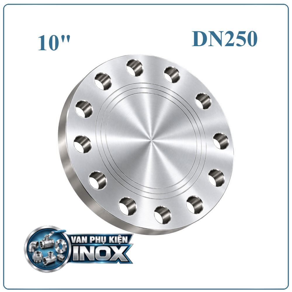 Mặt Bích Inox Đặc DN250