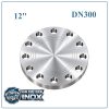 Mặt Bích Inox Đặc DN300