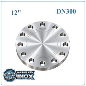 Mặt Bích Inox Đặc DN300