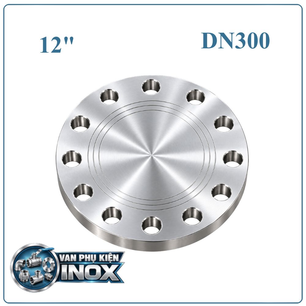 Mặt Bích Inox Đặc DN300